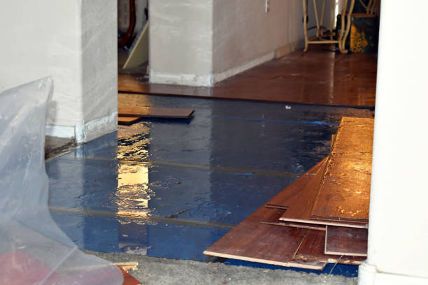 Professional Flood Damage Repair technician working in Palestine, IL